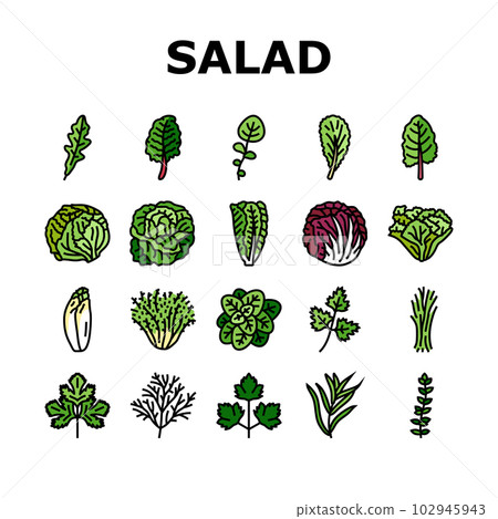 salad food healthy green fresh icons set vector 102945943