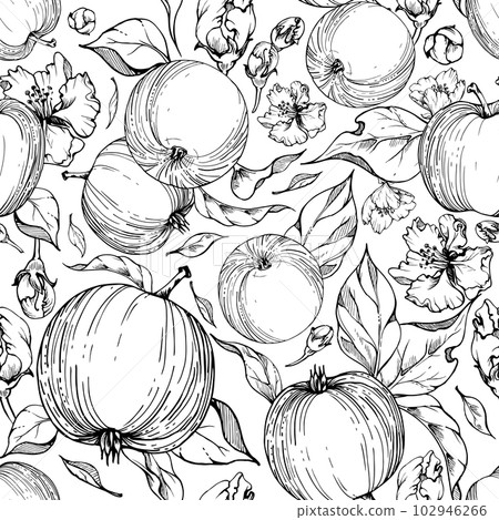 Hand drawn ink apple fruits, ripe, full and slices monochrome vector, detailed outline with leaves. Seamless pattern. Isolated on white background. Design for wall art, wedding, print, fabric, card. 102946266