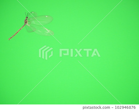 Antlion in flight Antlion in flight 102946876