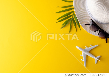 Airplane model, straw hat, sunglasses and plant on yellow background with copy space 102947390