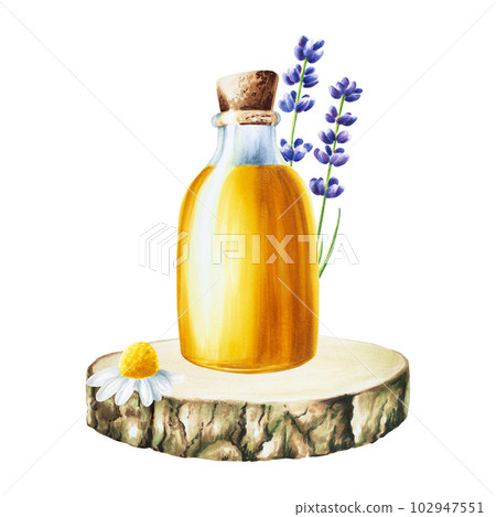 Watercolor oil glass bottle with cork cap on a wooden saw cut with chamomile and lavender isolated on white background. Beauty products and botany elements, cosmetology and medicine. For designers, Watercolor oil glass bottle with cork cap on a wooden saw cut with chamomile and lavender isolated on white background. Beauty products and botany elements, cosmetology and medicine. For designers, 102947551