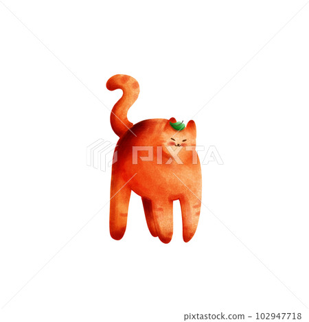 orange cat. orange cat. 102947718