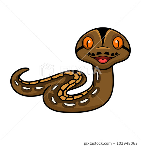 Cute tiger reticulatus python cartoon 102948062