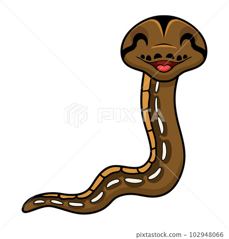 Cute tiger reticulatus python cartoon Cute tiger reticulatus python cartoon 102948066