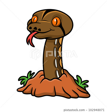 Cute tiger reticulatus python cartoon out from hole Cute tiger reticulatus python cartoon out from hole 102948071