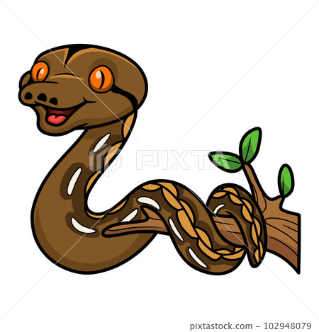 Cute tiger reticulatus python cartoon on tree branch Cute tiger reticulatus python cartoon on tree branch 102948079