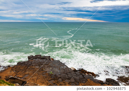 Curio Bay headland Southland South Island New Zealand Curio Bay headland Southland South Island New Zealand 102948875
