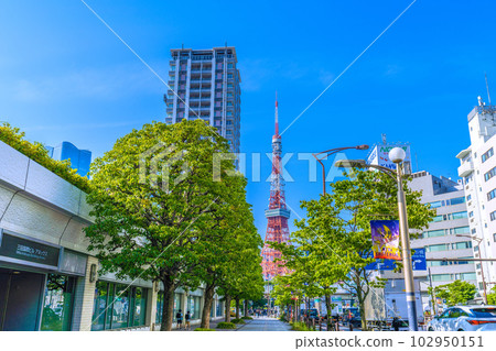 在日本東京鐵塔的東京都市風景。俯瞰赤羽橋以南和東京鐵塔的十字路口=18號 102950151