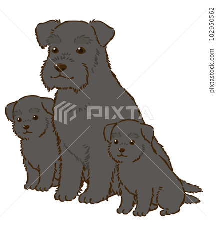 雪納瑞親子(黑色) 雪納瑞親子(黑色) 102950562