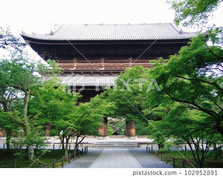 Fresh greenery and Nanzenji Sanmon Gate 102952891