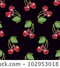 Cherry pattern. Vector illustration cherry, cherry leaves, which are located in a dark background. 102953018