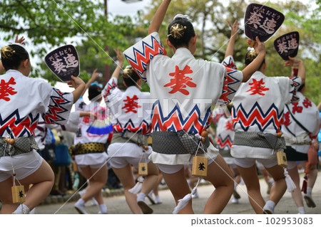 Awa Odori spring festival "Tokushima Castle Awa Odori" Happi Odori performed by famous women Awa Odori spring festival "Tokushima Castle Awa Odori" Happi Odori performed by famous women 102953083