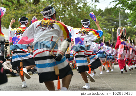 Awa Odori spring festival "Tokushima Castle Awa Odori" famous men's dance Awa Odori spring festival "Tokushima Castle Awa Odori" famous men's dance 102953433
