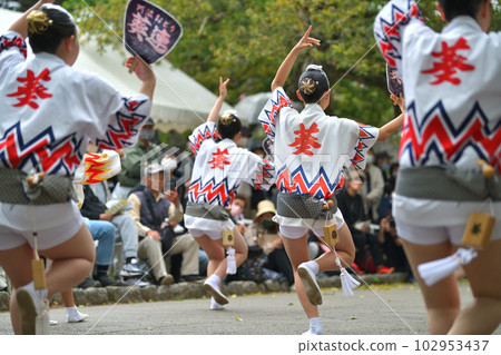 Awa Odori spring festival "Tokushima Castle Awa Odori" famous women's happi dance 102953437