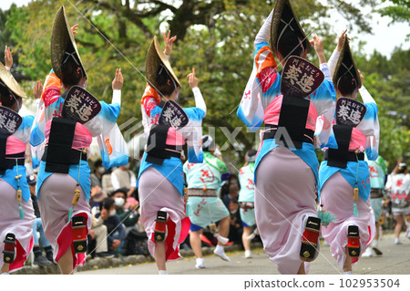 阿波舞春節“德島城阿波舞”著名女子舞蹈 阿波舞春節“德島城阿波舞”著名女子舞蹈 102953504