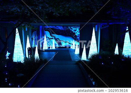 Illumination of Yushien Illumination of Yushien 102953616