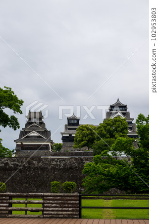 Scenery of fresh greenery and Kumamoto Castle 102953803