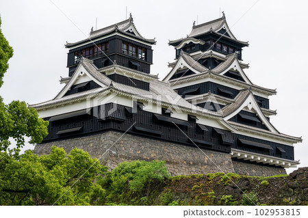 Scenery of fresh greenery and Kumamoto Castle Scenery of fresh greenery and Kumamoto Castle 102953815