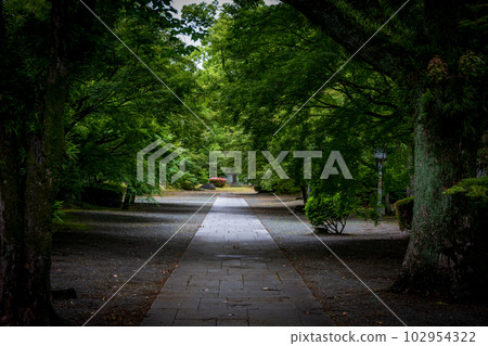 The fresh greenery of the Hosokawa Gyobutei 102954322