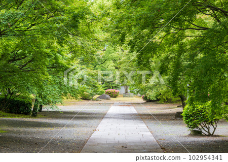 細川禦舞亭的新綠 102954341