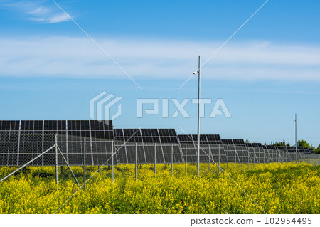 Photovoltaic power station at yellow rapeseed field 102954495
