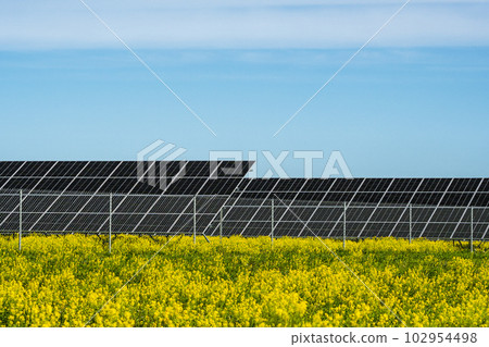 Yellow canola field and solar panels Yellow canola field and solar panels 102954498