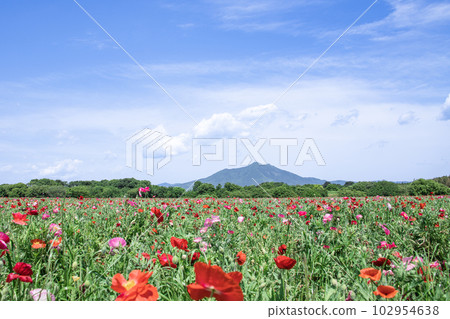 Mount Tsukuba from Kogaigawa Park Mount Tsukuba from Kogaigawa Park 102954638