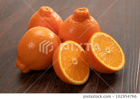 American citrus mineola American citrus mineola 102954766
