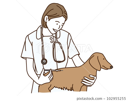 Female veterinarian giving a vaccine and injection to a dog Female veterinarian giving a vaccine and injection to a dog 102955255