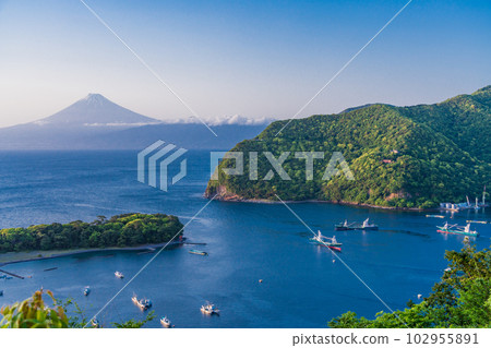 (Shizuoka Prefecture) With Mt. Fuji in the background, a fishing fleet leaves Heda Port for deep-sea fishing. (Shizuoka Prefecture) With Mt. Fuji in the background, a fishing fleet leaves Heda Port for deep-sea fishing. 102955891