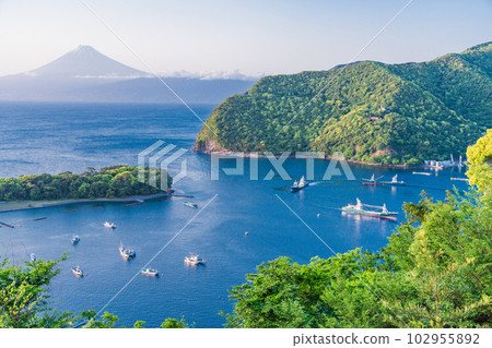 (Shizuoka Prefecture) With Mt. Fuji in the background, a fishing fleet leaves Heda Port for deep-sea fishing. (Shizuoka Prefecture) With Mt. Fuji in the background, a fishing fleet leaves Heda Port for deep-sea fishing. 102955892