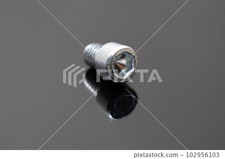 Hexagon socket head bolts placed on a dark gray plate 102956103