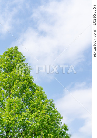 自然形象 102956355