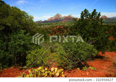 Sedona Arizona surrounding Red Rock Country Sedona Arizona surrounding Red Rock Country 102956627