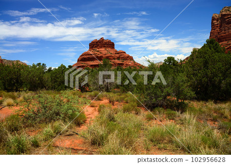 Sedona Arizona surrounding Red Rock Country 102956628