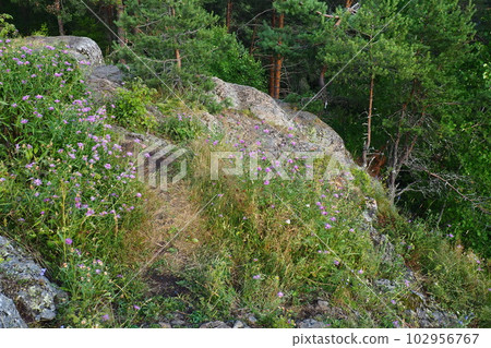 The devil's chair is a rocky tract, a geological monument of nature, located on the slope of Vaara Mountain, a former volcano. It is located in Petrozavodsk, Solomennoe, on the coast of Lake Onega. The devil's chair is a rocky tract, a geological monument of nature, located on the slope of Vaara Mountain, a former volcano. It is located in Petrozavodsk, Solomennoe, on the coast of Lake Onega. 102956767