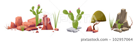 Desert rock with plants in different colors vector illustration isolated on white 102957064