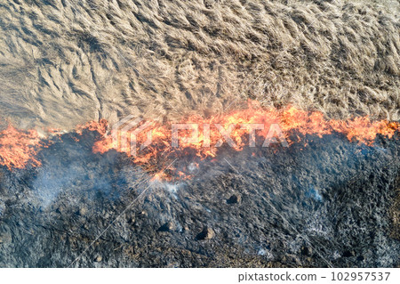 Aerial view of grassland field burning with red fire during dry season. Natural disaster and climate change concept 102957537