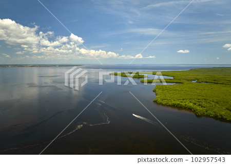 Aerial view of Florida wetlands with small motorboat swimming between green vegetation in water inlets. Recreation in nature concept 102957543