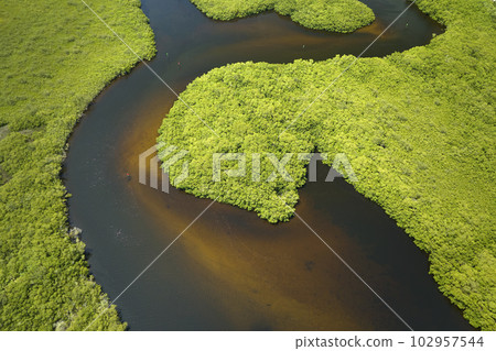 Aerial view of Florida wetlands with green vegetation between ocean water inlets. Natural habitat of many tropical species Aerial view of Florida wetlands with green vegetation between ocean water inlets. Natural habitat of many tropical species 102957544