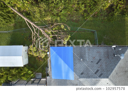 Aerial view of damaged in hurricane Ian house roof covered with blue protective tarp against rain water leaking until replacement of asphalt shingles 102957578