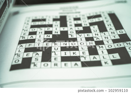 Crossword, Sudoku puzzle game to keep you brain younger for developing Alzheimer disease in senior patient. Crossword, Sudoku puzzle game to keep you brain younger for developing Alzheimer disease in senior patient. 102959110