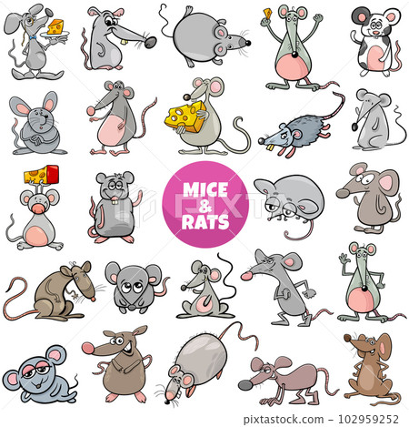 funny cartoon mice and rats animal characters big set funny cartoon mice and rats animal characters big set 102959252