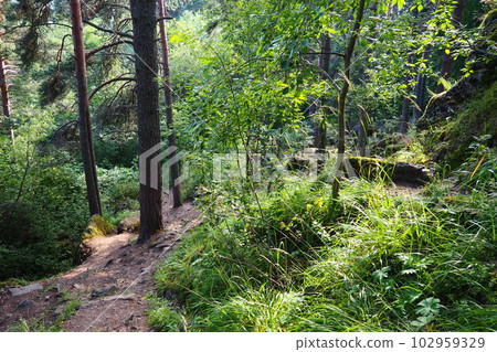 The devil's chair is a rocky tract, a geological monument of nature, located on the slope of Vaara Mountain, a former volcano. It is located in Petrozavodsk, Solomennoe, on the coast of Lake Onega. The devil's chair is a rocky tract, a geological monument of nature, located on the slope of Vaara Mountain, a former volcano. It is located in Petrozavodsk, Solomennoe, on the coast of Lake Onega. 102959329