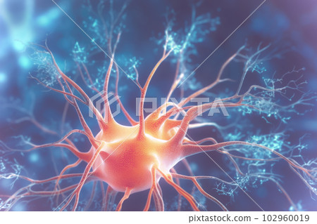 Human Nervous System Human Nervous System 102960019