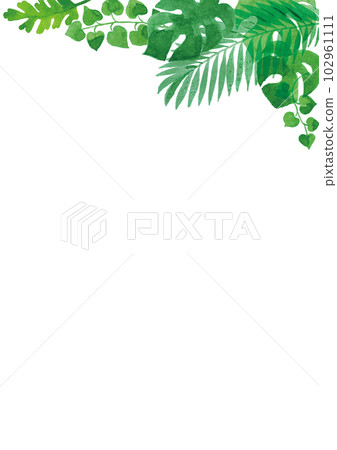 Transparent watercolor Illustration frame of tropical plant leaves A4 vertical Transparent watercolor Illustration frame of tropical plant leaves A4 vertical 102961111