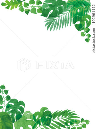 Transparent watercolor Illustration frame of tropical plant leaves A4 vertical Transparent watercolor Illustration frame of tropical plant leaves A4 vertical 102961112