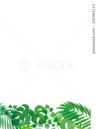 Transparent watercolor Illustration frame of tropical plant leaves A4 vertical Transparent watercolor Illustration frame of tropical plant leaves A4 vertical 102961113