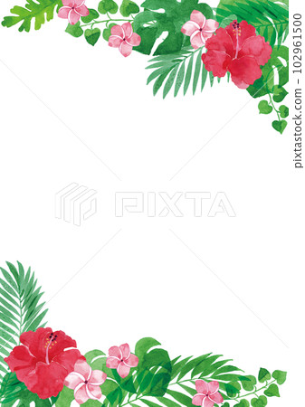 芙蓉等熱帶植物透明水彩插圖框 A4 垂直 102961500