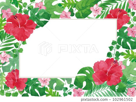 木槿等熱帶植物透明水彩畫框A4水平 木槿等熱帶植物透明水彩畫框A4水平 102961502